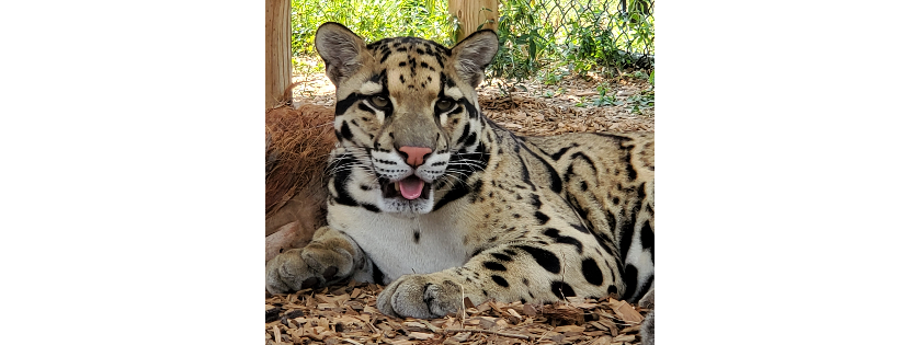 Panther Ridge Conservation Center