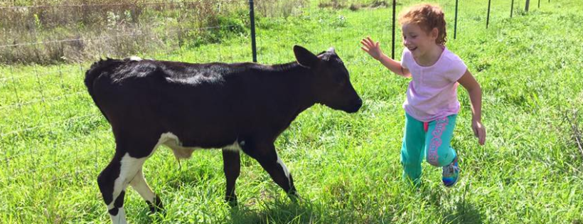 Heartland Farm Sanctuary