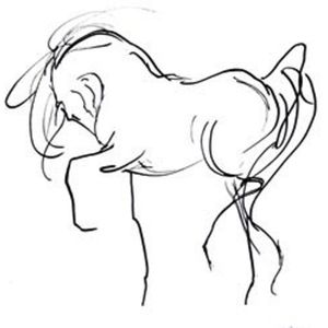 Saffyre Sanctuary, Inc. Logo