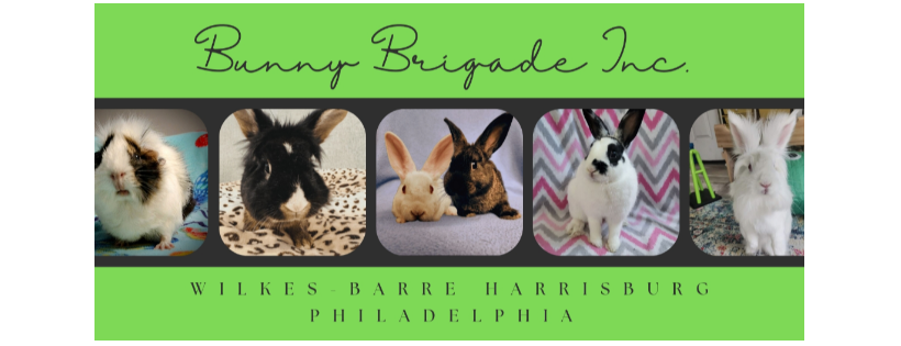 Bunny Brigade Inc.