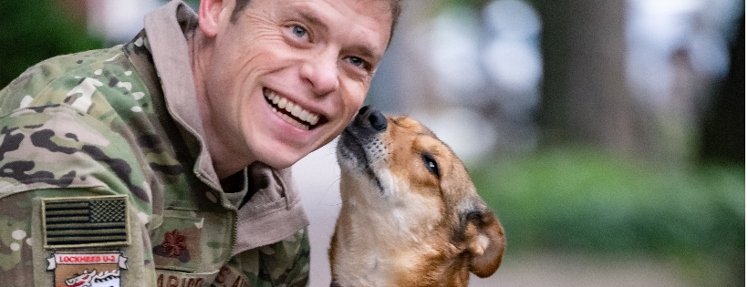 Dogs on Deployment
