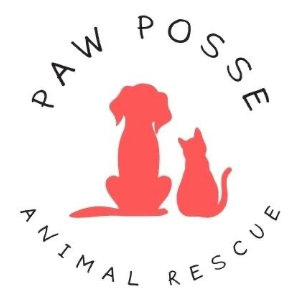 Paw Posse Animal Rescue Logo