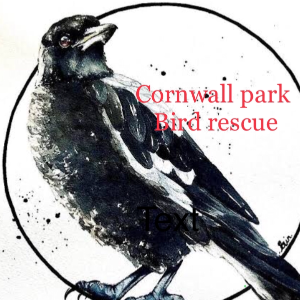 Cornwall Park Bird Rescue