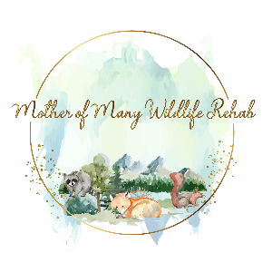 Mother of Many Wildlife Rehab Inc Logo