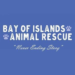 Bay of Islands Animal Rescue