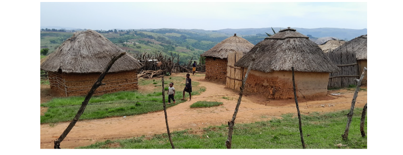 The SHAMBA Trust