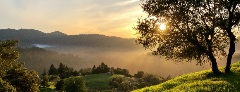 Wildwood Conservation Foundation