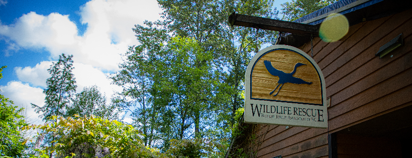 Wildlife Rescue Association of British Columbia
