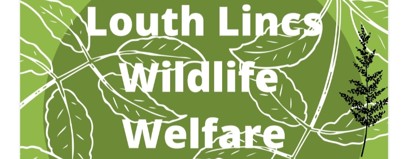 Louth wildlife welfare