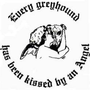 Greyhound Welfare and Rescue
