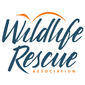 Wildlife Rescue Association of British Columbia