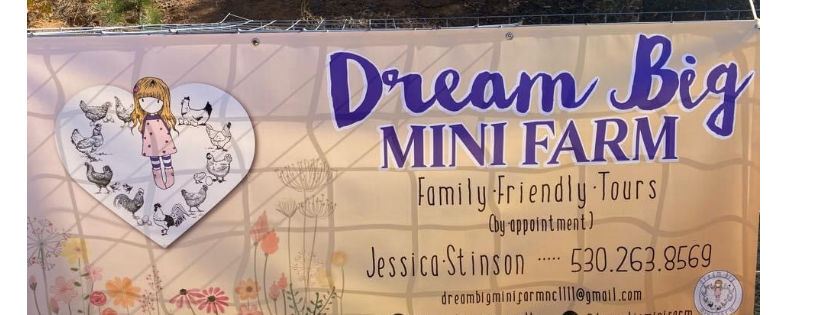 Dream big mini farm