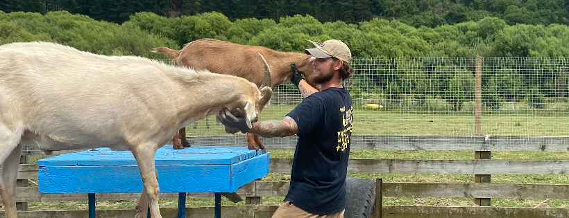 Te Paranui Animal And Farm Sanctuary Trust