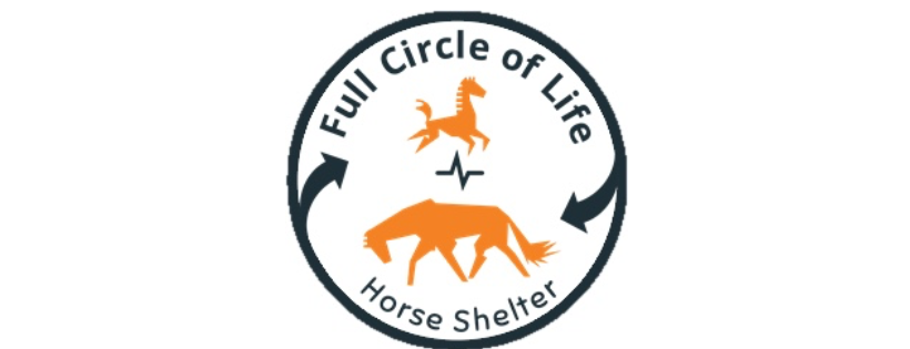 Lazy B Equine Rescue and Sanctuary