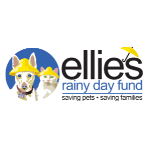 ELLIE'S RAINY DAY FUND, INC.