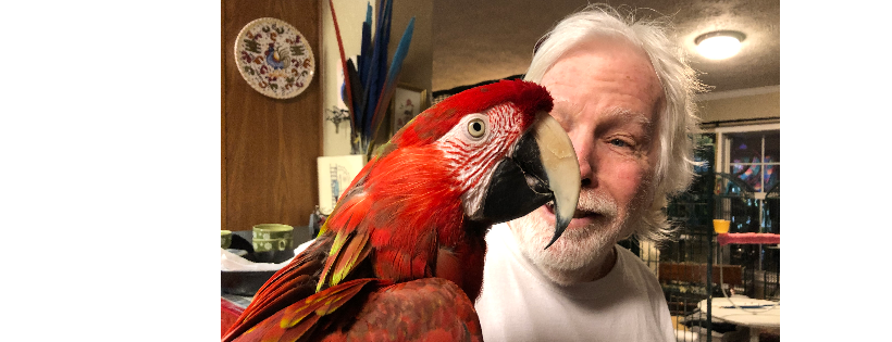 The Global Nest Exotic Bird Sanctuary