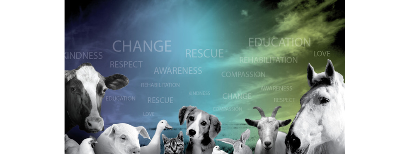 Ohio SPCA
