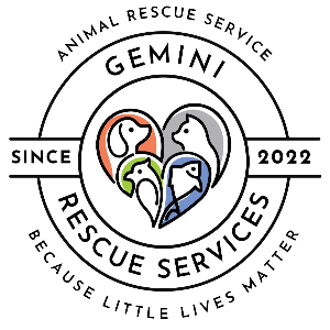 GRS Gemini Rescue Services