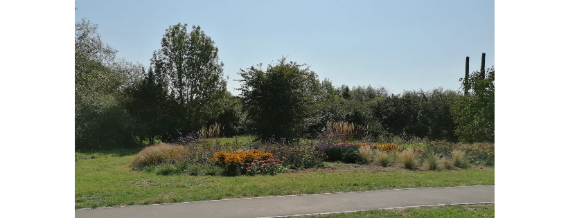 Wembdon Parklands &  Community Together