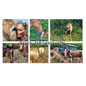 Earth Spirit Rescue Ranch and Sanctuary Logo