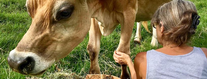 Moo To Ewe Farmed Animal Sanctuary