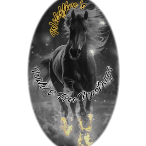 Wildfire’s Wild and Free Mustangs Logo
