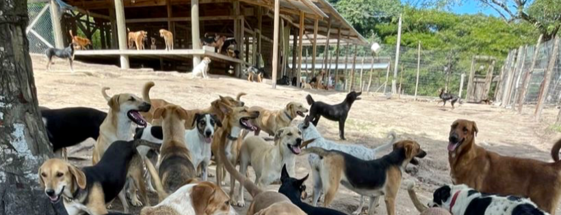 Roatan Rescue Inc