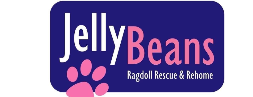 Jelly Beans Ragdoll Rescue 