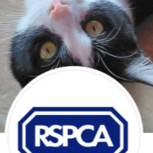 RSPCA Lincolnshire East branch