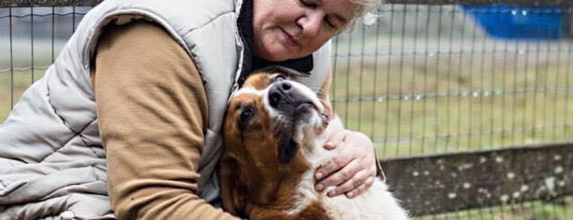 SAINTS Rescue