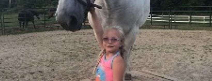 Impact Equine Incorporated