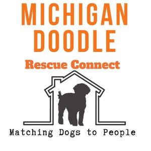 Michigan Doodle Rescue Connect