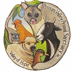 Possum Valley Animal Sanctuary Logo