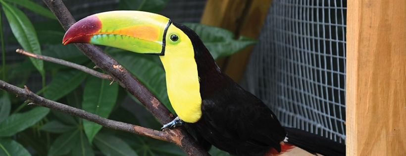Dunrovin Exotic Animal Sanctuary