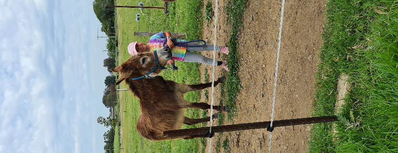 Donkey Welfare with Heart Inc