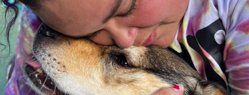 Bee Pawsitive husky rescue
