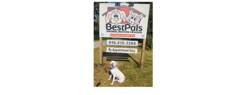 BestPals Animal Rescue Center | Holland | Michigan | 49424 | 27-3328496 |*