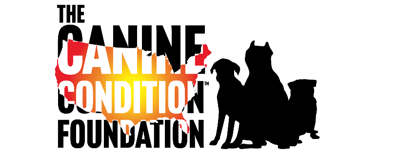 The Canine Condition Foundation