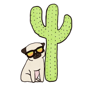 Arizona Pug Party and Rescue