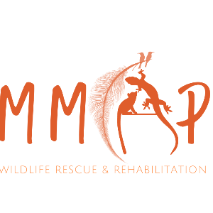Marsupial Mammas and Pappas Inc