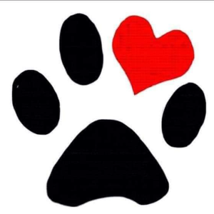 A Paw In Need Rescue Logo