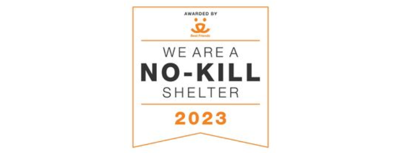 No time to spare rescue and sanctuary