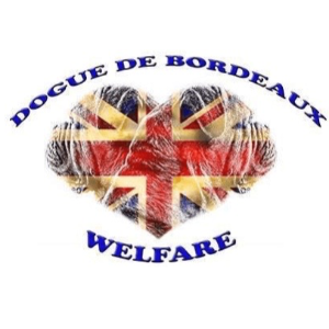 Dogue de Bordeaux Welfare