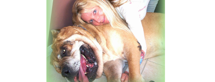 HUG Hearts Foundation