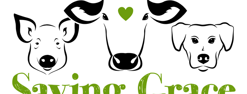 Saving Grace Animal Rescue