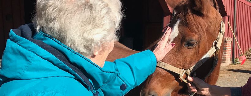 US Horse Welfare and Rescue Org