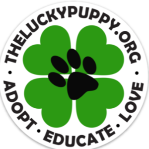 Lucky Puppy Dog Rescue & Kennel Inc. Logo