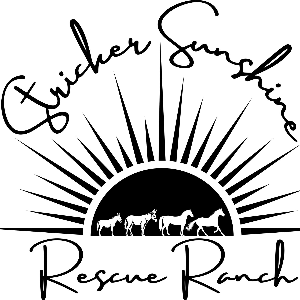 Stricker Sunshine Rescue Ranch Logo