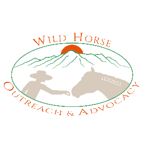 Wild Horse Outreach & Advocacy
