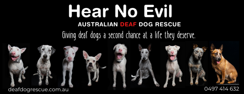 Hear No Evil Aust Deaf Dog Rescue